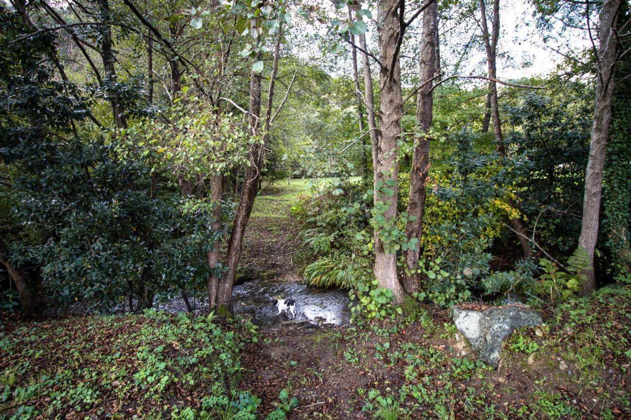 Agroturismo Araize Mungia Esterno foto